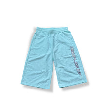 Load image into Gallery viewer, “Cookout”track shorts
